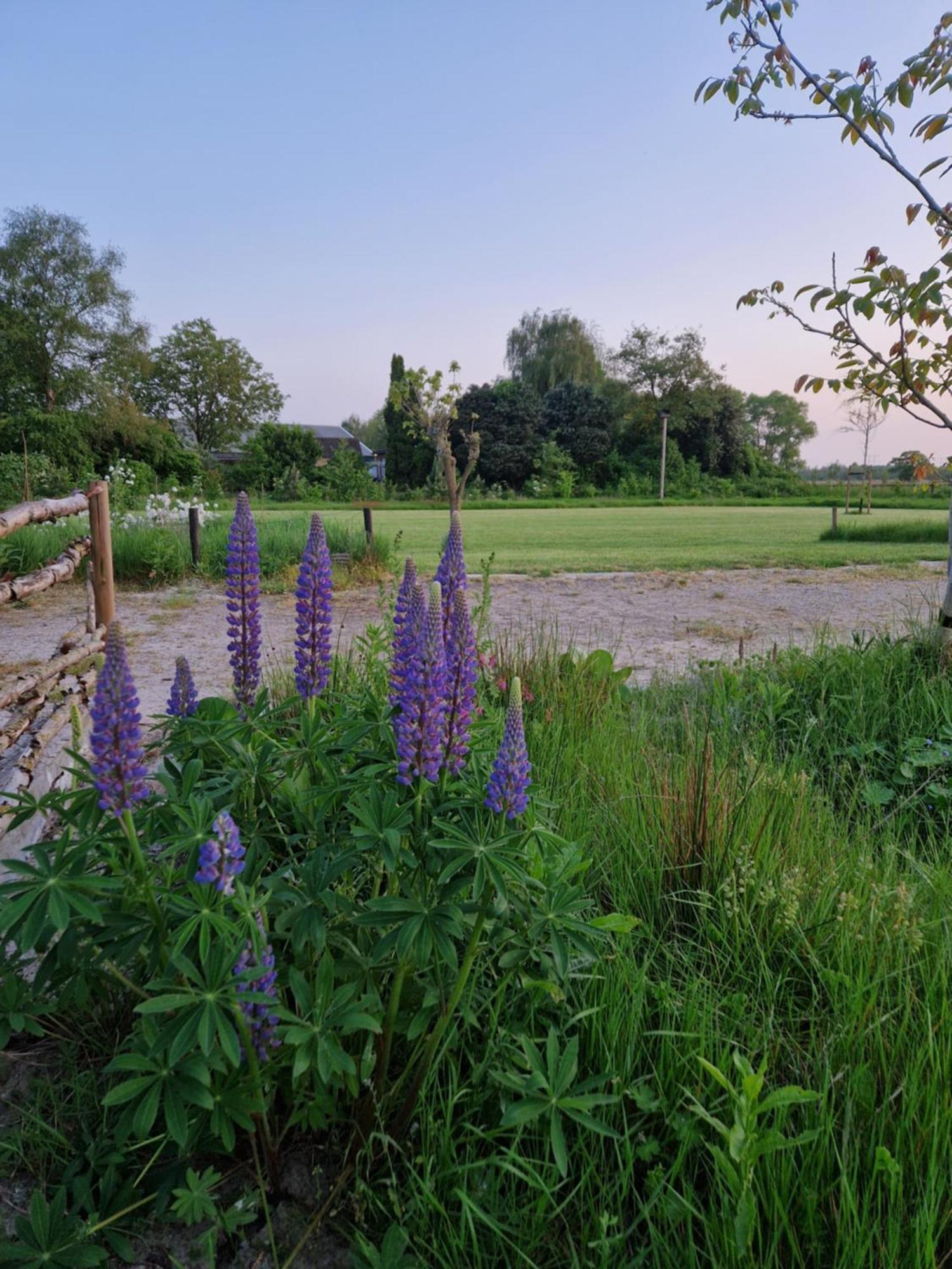 De Wilde Tuin - Tuinkamer Moergestel Екстер'єр фото